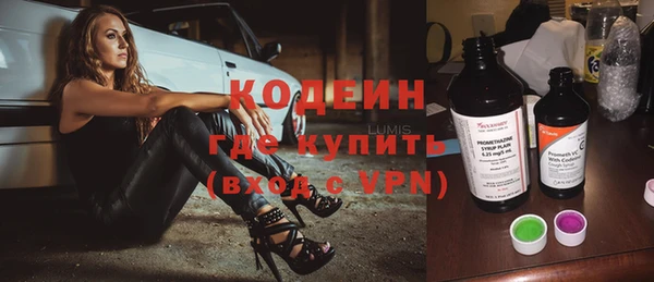 гашик Няндома
