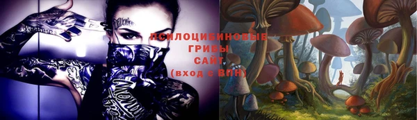 мдпв Абинск