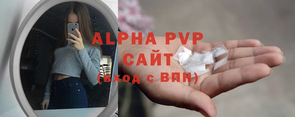 гашик Няндома