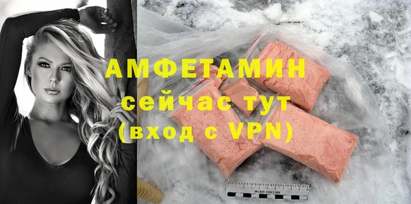 гашик Няндома