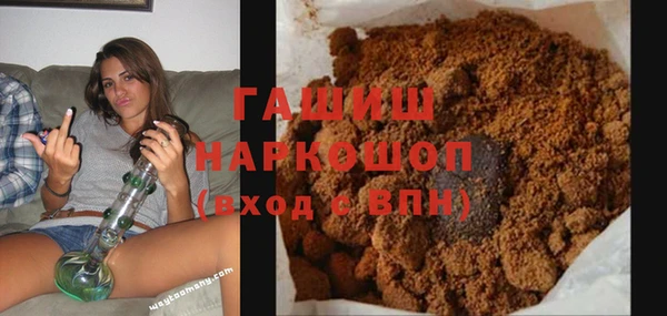 гашик Няндома